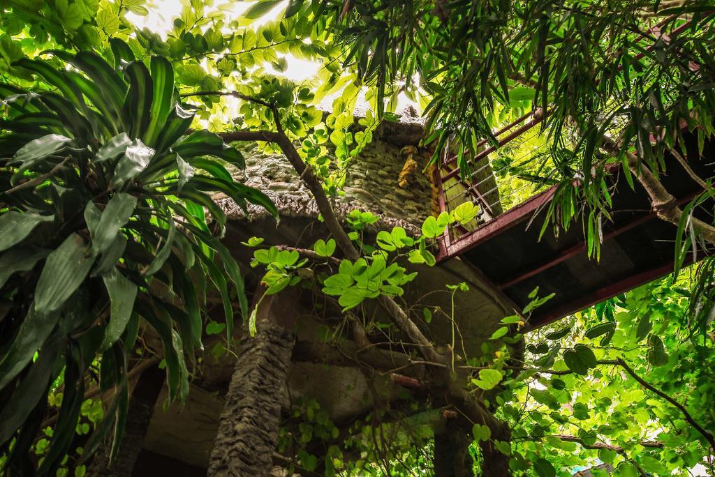 Dao Anh Khanh Tree House Hanoi Eksteriør billede