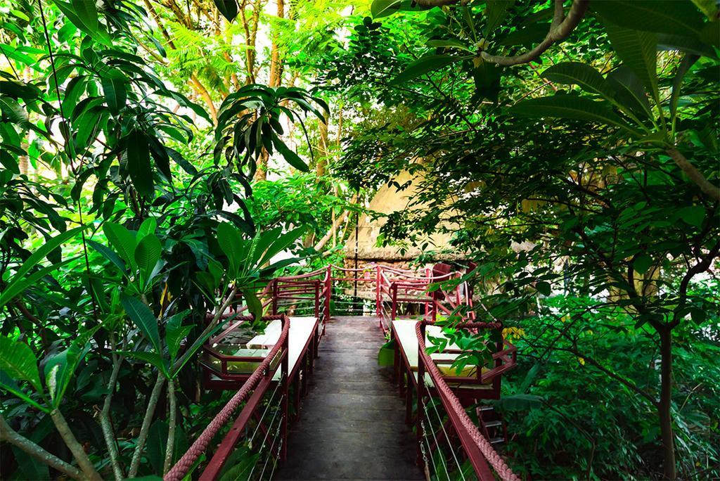 Dao Anh Khanh Tree House Hanoi Eksteriør billede