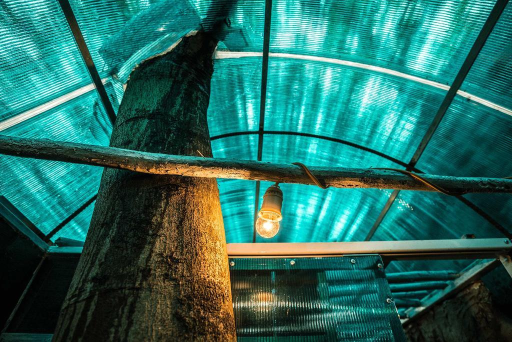 Dao Anh Khanh Tree House Hanoi Eksteriør billede
