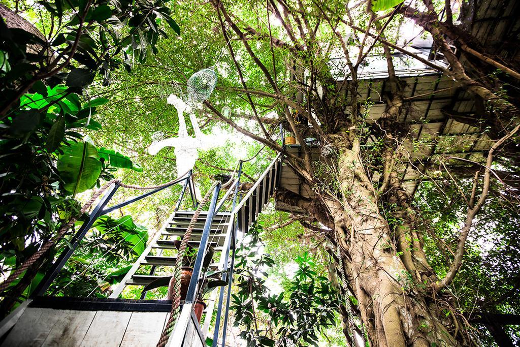 Dao Anh Khanh Tree House Hanoi Eksteriør billede