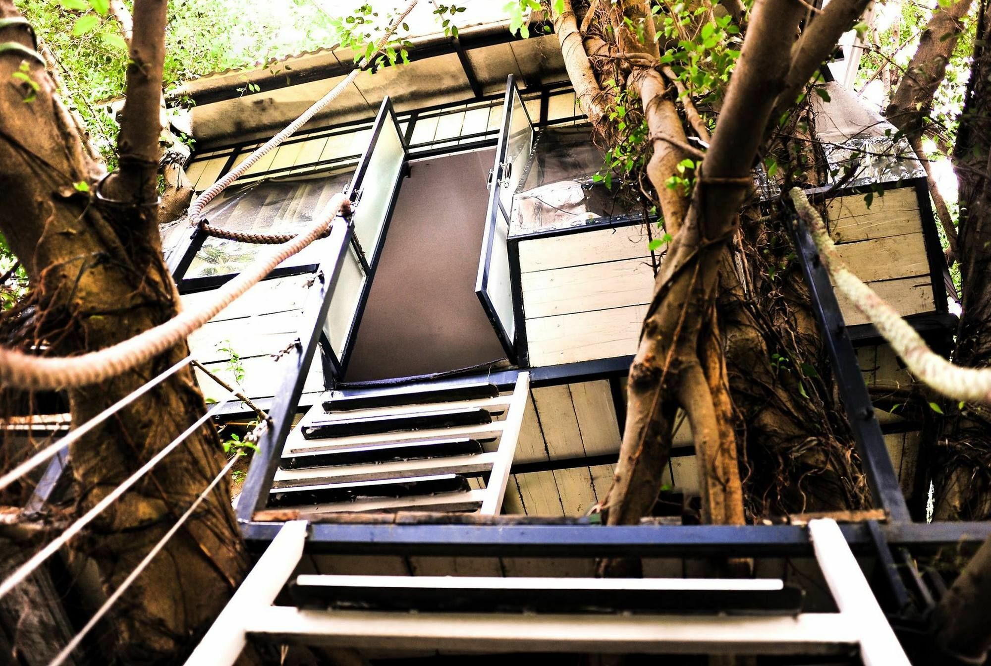 Dao Anh Khanh Tree House Hanoi Eksteriør billede